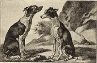 An illustration from The landscape and pastoral painters of Holland : Ruisdael, Hobbema, Cuijp, Potter (1891)