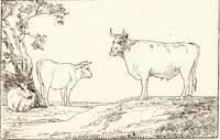 An illustration from The landscape and pastoral painters of Holland : Ruisdael, Hobbema, Cuijp, Potter (1891)