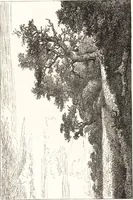 An illustration from The landscape and pastoral painters of Holland : Ruisdael, Hobbema, Cuijp, Potter (1891)
