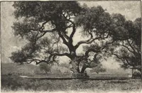 Picture 48 of 53 from The masters and master-pieces of engraving (1894), leaf 324