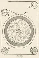 An illustration from Faults in the manufacture of woollen goods and their prevention (1903)