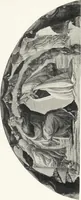 An illustration from The study and criticism of Italian art (1903)