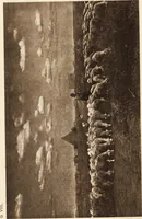 An illustration from Art in photography : with selected examples of European and American work (1905)