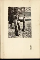 Picture 81 of 123 from Art in photography : with selected examples of European and American work (1905), leaf 224