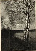 An illustration from Art in photography : with selected examples of European and American work (1905)