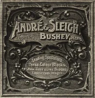 Picture 118 of 123 from Art in photography : with selected examples of European and American work (1905), leaf 296