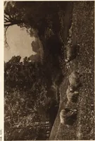 An illustration from Art in photography : with selected examples of European and American work (1905)