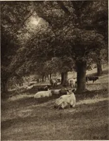 An illustration from Art in photography : with selected examples of European and American work (1905)