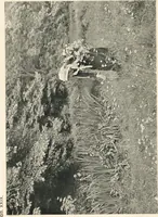 An illustration from Art in photography : with selected examples of European and American work (1905)