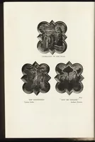 Picture 40 of 62 from A new history of painting in Italy, from the II to the XVI century; (1908), leaf 365