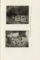 An illustration from A new history of painting in Italy, from the II to the XVI century; (1908)