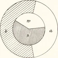 An illustration from Three-colour photography : three-colour printing and the production of photographic pigment pictures in natural colours (1904)