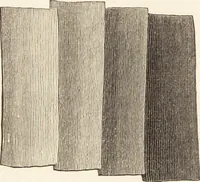 An illustration from Students' text-book of color, or, Modern chromatics : with applications to art and industry (1881)