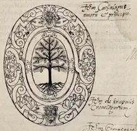 Picture 1 of 2 from Matth. Beroaldi Chronicvm, scriptvrae sacrae avtoritate constitvtvm .. (1576), leaf 8
