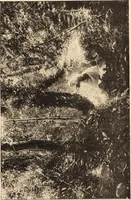 An illustration from L'art en photographie : avec le procédé au gélatino-bromure d'argent (1896)