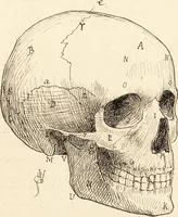 An illustration from L'art en photographie : avec le procédé au gélatino-bromure d'argent (1896)