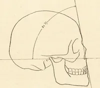 An illustration from L'art en photographie : avec le procédé au gélatino-bromure d'argent (1896)