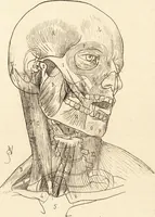 An illustration from L'art en photographie : avec le procédé au gélatino-bromure d'argent (1896)