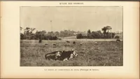 Picture 64 of 94 from L'art en photographie : avec le procédé au gélatino-bromure d'argent (1896), leaf 288