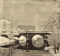 Picture 66 of 94 from L'art en photographie : avec le procédé au gélatino-bromure d'argent (1896), leaf 300