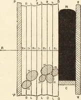 An illustration from L'art en photographie : avec le procédé au gélatino-bromure d'argent (1896)