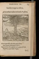 Picture 5 of 16 from Hadriani Iunii medici Emblemata : eiusdem ænigmatum libellus (1585), leaf 28