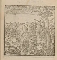 An illustration from Hadriani Iunii medici Emblemata : eiusdem ænigmatum libellus (1585)