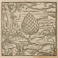 An illustration from Hadriani Iunii medici Emblemata : eiusdem ænigmatum libellus (1585)