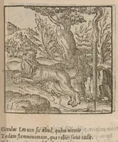 An illustration from Hadriani Iunii medici Emblemata : eiusdem ænigmatum libellus (1585)