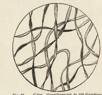 An illustration from L'industrie des matières colorantes (1902)