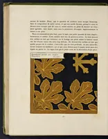 An illustration from Etude de la plante : son application aux industries d'art : pochoir, papier peint, etoffes, céramique, marqueterie, tapis, ferronnerie, reliure, dentelles, broderies, vitrail, mosaïque, bijouterie, bronze, orfévrerie (1914)