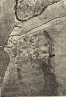 An illustration from Daniel H. Burnham, architect, planner of cities (1921)