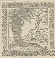 Picture 9 of 35 from Omnia Andreae Alciati v.c. emblemata : cum commentariis, quibus emblematum aperta origine mens auctoris explicatur & obscura omnia dubiáque illustrantur : adiectae ad calcem notae posteriores (1589), leaf 343