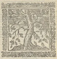 Picture 11 of 35 from Omnia Andreae Alciati v.c. emblemata : cum commentariis, quibus emblematum aperta origine mens auctoris explicatur & obscura omnia dubiáque illustrantur : adiectae ad calcem notae posteriores (1589), leaf 363