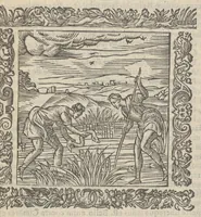 An illustration from Omnia Andreae Alciati v.c. emblemata : cum commentariis, quibus emblematum aperta origine mens auctoris explicatur & obscura omnia dubiáque illustrantur : adiectae ad calcem notae posteriores (1589)