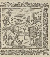 Picture 21 of 35 from Omnia Andreae Alciati v.c. emblemata : cum commentariis, quibus emblematum aperta origine mens auctoris explicatur & obscura omnia dubiáque illustrantur : adiectae ad calcem notae posteriores (1589), leaf 506