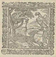 Picture 27 of 35 from Omnia Andreae Alciati v.c. emblemata : cum commentariis, quibus emblematum aperta origine mens auctoris explicatur & obscura omnia dubiáque illustrantur : adiectae ad calcem notae posteriores (1589), leaf 639