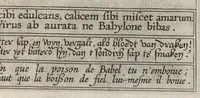 An illustration from Paradisus sponsi et sponsae : in quo messis myrrhae et aromatum ex instrumentis ac mysterijs passionis Christi colligenda, vt ei commoriamur ; et, Pancarpium Marianum, septemplici titulorum serie distinctum, vt in B. Virginis odorem curramus, et Christus formetur in nobis (1618)