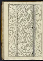 Picture 25 of 49 from I quattro libri dell'architettura di Andrea Palladio : ne' quali, dopo vn breue trattato de' cinque ordini, & di quelli auertimenti, che sono piu necessarij nel fabricare : si tratta delle case priuate, delle vie, dei ponti, delle piazze, dei xisti, et de' tempij (1581), leaf 161