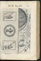 An illustration from Roma svbterranea novissima : in qva post Antonivm Bosivm antesignanvm, Io. Severanvm congreg. oratorii presbytervm, et celebres alios scriptores : antiqva Christianorvm et praecipue martyrun cœmeteria, titvli, monimenta, epitaphia, inscriptiones ac nobiliora sanctorvm sepvlchra, sex libris distincta illustrantvr et qvamplvrimae res ecclesiasticae iconibvs graphice describuntur, ac multiplici tum sacra, tum profana eruditione declarantur : cum duplici indice, capitum & rerum locupletissimo : opera et stvdio (1651)