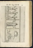 Picture 27 of 56 from Roma svbterranea novissima : in qva post Antonivm Bosivm antesignanvm, Io. Severanvm congreg. oratorii presbytervm, et celebres alios scriptores : antiqva Christianorvm et praecipue martyrun cœmeteria, titvli, monimenta, epitaphia, inscriptiones ac nobiliora sanctorvm sepvlchra, sex libris distincta illustrantvr et qvamplvrimae res ecclesiasticae iconibvs graphice describuntur, ac multiplici tum sacra, tum profana eruditione declarantur : cum duplici indice, capitum & rerum locupletissimo : opera et stvdio (1651), leaf 220