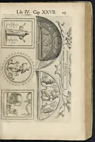 An illustration from Roma svbterranea novissima : in qva post Antonivm Bosivm antesignanvm, Io. Severanvm congreg. oratorii presbytervm, et celebres alios scriptores : antiqva Christianorvm et praecipue martyrun cœmeteria, titvli, monimenta, epitaphia, inscriptiones ac nobiliora sanctorvm sepvlchra, sex libris distincta illustrantvr et qvamplvrimae res ecclesiasticae iconibvs graphice describuntur, ac multiplici tum sacra, tum profana eruditione declarantur : cum duplici indice, capitum & rerum locupletissimo : opera et stvdio (1651)