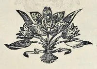 An illustration from Roma svbterranea novissima : in qva post Antonivm Bosivm antesignanvm, Io. Severanvm congreg. oratorii presbytervm, et celebres alios scriptores : antiqva Christianorvm et praecipue martyrun cœmeteria, titvli, monimenta, epitaphia, inscriptiones ac nobiliora sanctorvm sepvlchra, sex libris distincta illustrantvr et qvamplvrimae res ecclesiasticae iconibvs graphice describuntur, ac multiplici tum sacra, tum profana eruditione declarantur : cum duplici indice, capitum & rerum locupletissimo : opera et stvdio (1651)