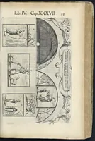 Picture 42 of 56 from Roma svbterranea novissima : in qva post Antonivm Bosivm antesignanvm, Io. Severanvm congreg. oratorii presbytervm, et celebres alios scriptores : antiqva Christianorvm et praecipue martyrun cœmeteria, titvli, monimenta, epitaphia, inscriptiones ac nobiliora sanctorvm sepvlchra, sex libris distincta illustrantvr et qvamplvrimae res ecclesiasticae iconibvs graphice describuntur, ac multiplici tum sacra, tum profana eruditione declarantur : cum duplici indice, capitum & rerum locupletissimo : opera et stvdio (1651), leaf 350