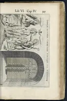 Picture 50 of 56 from Roma svbterranea novissima : in qva post Antonivm Bosivm antesignanvm, Io. Severanvm congreg. oratorii presbytervm, et celebres alios scriptores : antiqva Christianorvm et praecipue martyrun cœmeteria, titvli, monimenta, epitaphia, inscriptiones ac nobiliora sanctorvm sepvlchra, sex libris distincta illustrantvr et qvamplvrimae res ecclesiasticae iconibvs graphice describuntur, ac multiplici tum sacra, tum profana eruditione declarantur : cum duplici indice, capitum & rerum locupletissimo : opera et stvdio (1651), leaf 568