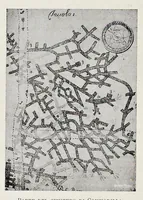 Picture 5 of 14 from Nuovo bullettino di archeologia cristiana (1895), leaf 299