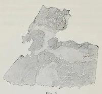 An illustration from Nuovo bullettino di archeologia cristiana (1895)