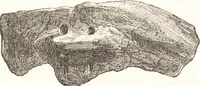 An illustration from Ilios; the city and country of the Trojans. The results of researches and discoveries on the site of Troy and throughout the Troad in the years 1871-72-73-78-79, including an autobiography of the author (1880)