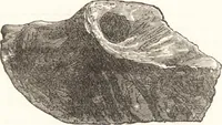 An illustration from Ilios; the city and country of the Trojans. The results of researches and discoveries on the site of Troy and throughout the Troad in the years 1871-72-73-78-79, including an autobiography of the author (1880)