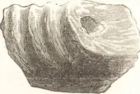 An illustration from Ilios; the city and country of the Trojans. The results of researches and discoveries on the site of Troy and throughout the Troad in the years 1871-72-73-78-79, including an autobiography of the author (1880)